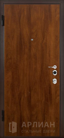 Фото №2 «Порошковая коричневая дверь для дачи №9»